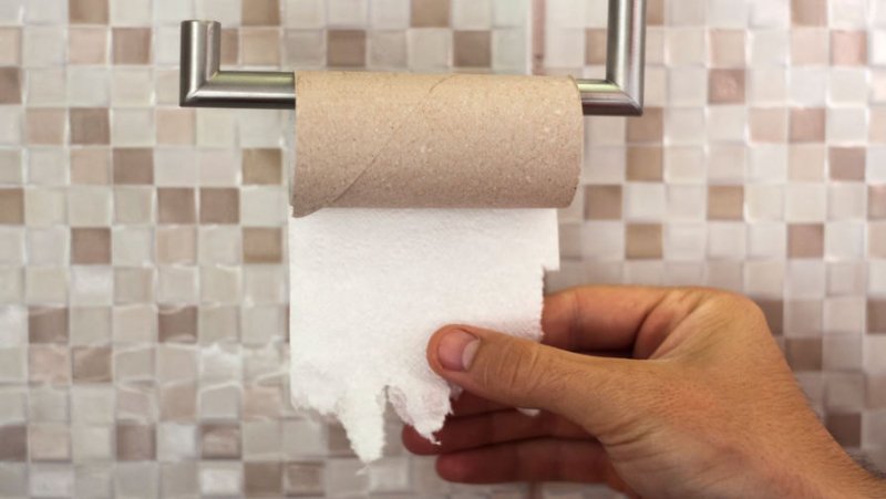 Забило канал: миру грозит дефицит туалетной бумаги