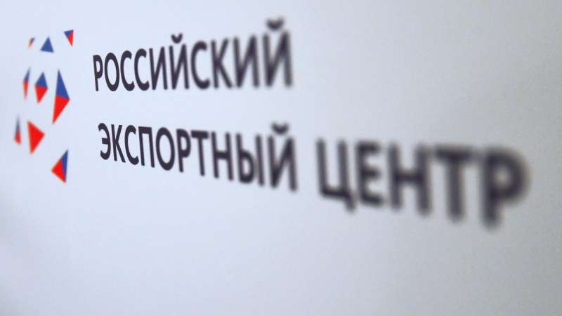 РЭЦ отметил рост интереса российских инвесторов к проектам в Киргизии