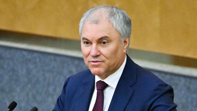 Володин прокомментировал решение ЕС по порошку из личинок
