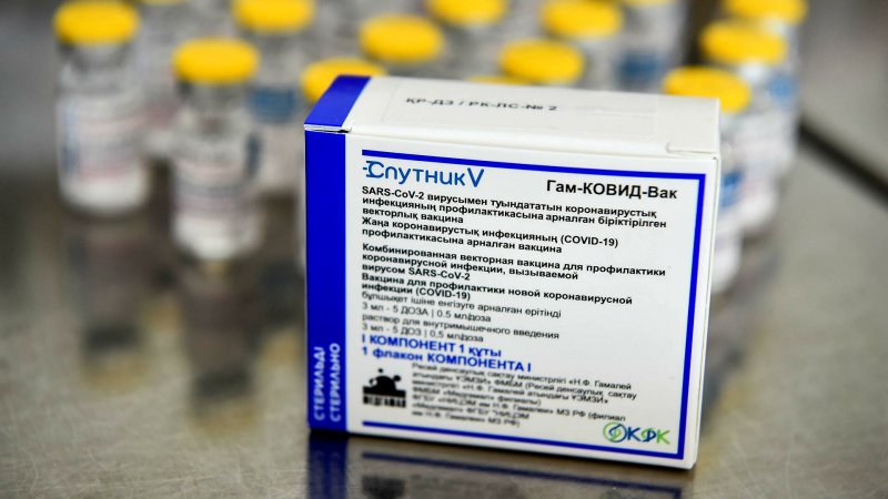 Лавров рассказал о переговорах с Египтом по вакцине "Спутник V"