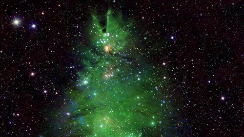 Рождественскую елку "сняли" на видео телескопы NASA